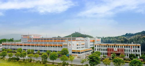 中紅醫(yī)療子公司恒保防護(hù)獲評桂林市2022年產(chǎn)業(yè)振興創(chuàng)新企業(yè)