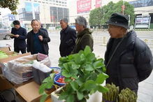 部門動態(tài)丨上蔡縣農(nóng)業(yè)局啟動綠色食品宣傳月活動