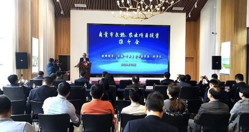 打造成渝地區(qū)特色消費(fèi)目的地 四川自貢推介文旅和農(nóng)業(yè)項(xiàng)目