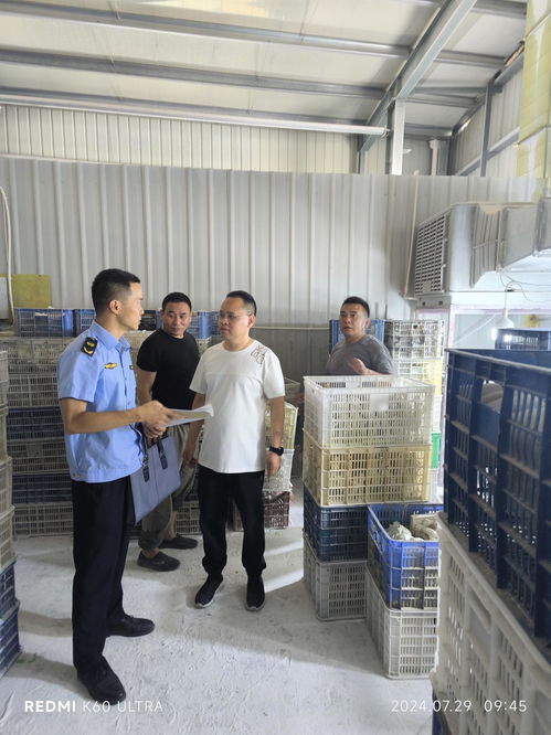 福建泉州洛江開展樹脂工藝品行業(yè)專項(xiàng)整治 守護(hù)城市好 氣質(zhì)