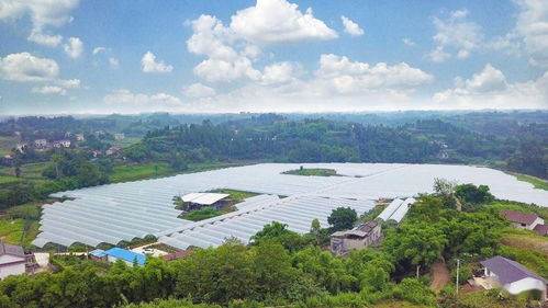 全市首個 四川自貢大安獲批創建國家農村產業融合發展示范園