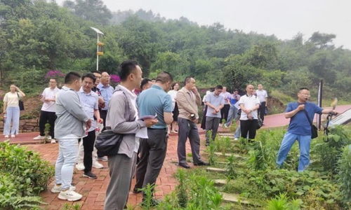 榮縣舉辦慶祝全國科技工作者日學習交流活動