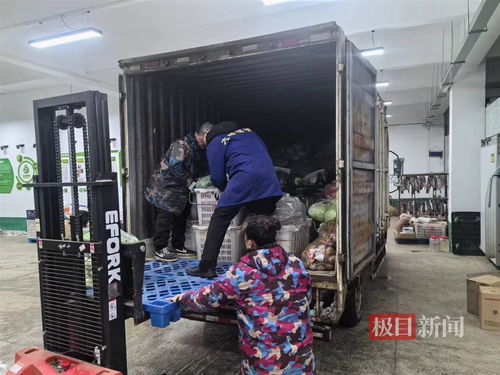 雪后武漢鮮活農(nóng)產(chǎn)品產(chǎn)銷(xiāo)兩旺，日均交易量突破7000噸